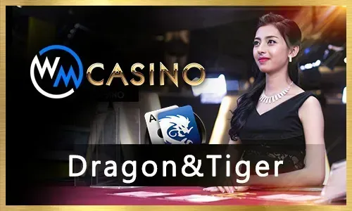 Digital privacy concept with cookie icon and secure network for jili777 online casino